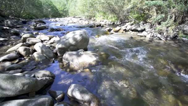 Гірська Річка Струмок Вода Каміння Краса Природи Повільний Рух Ландшафт — стокове відео
