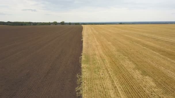 Aérea Campos Agrícolas Tierra Arada — Vídeos de Stock