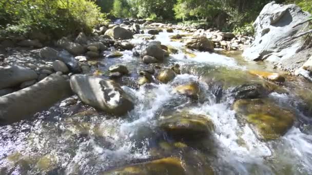 Dağ Nehri Dere Akışı Taşlar Doğanın Güzelliği Ağır Çekim Manzara — Stok video