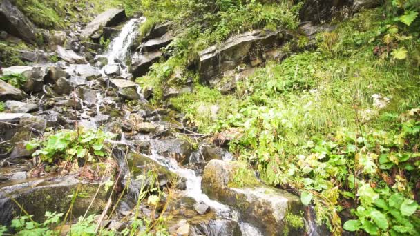 Small Mountain Waterfall Nature Shot Slow Motion — Stock Video