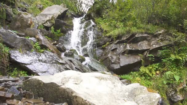 Petite Cascade Montagne Pierre Plan Nature Ralenti — Video