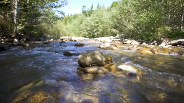 Dağ Nehrinin Güzel Manzarası Ahşap Taşlar Yavaş Çekim — Stok video
