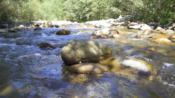Piękny Krajobraz Górskiej Rzeki Drewnie Wodzie Kamieniach Powolny Ruch — Wideo stockowe