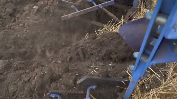 プローは フィールド内の地球を耕し 着実に撮影し トップビュー スローモーション 農業チーム — ストック動画