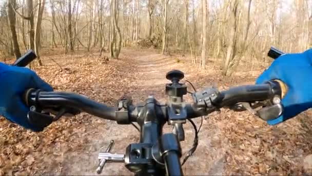 Rallentatore Volante Bicicletta Con Mani Punto Vista Fotocamera — Video Stock