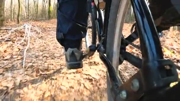 スローモーション 男は黄色の葉を持つ秋の公園で自転車で行く 視点カメラ — ストック動画