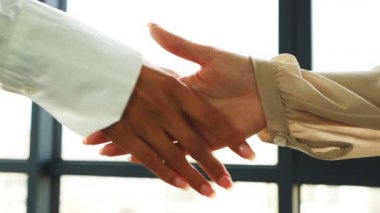  Ağır çekim. İki iş ortağı kadın ofiste buluşurken el sıkışıyor.