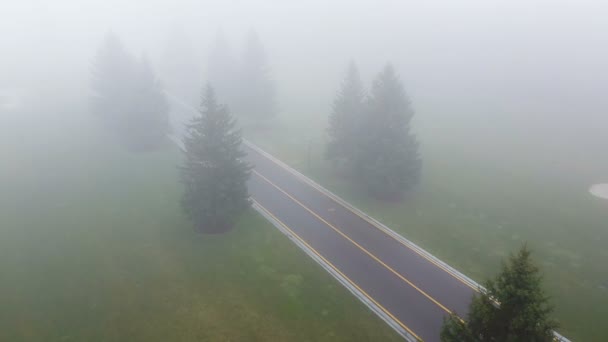 Aerial Sobre Estrada Vazia Com Árvores Dia Nebuloso Nublado Composição — Vídeo de Stock