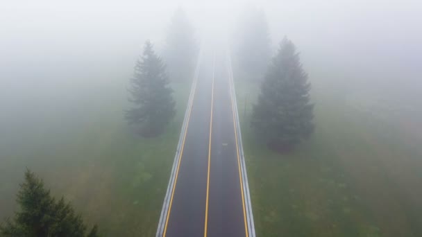 Aérea Carretera Vacía Con Árboles Día Niebla Vuelo Lento — Vídeo de stock