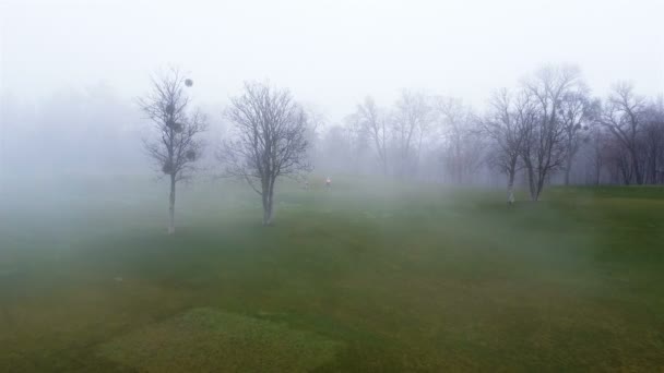 Aerial Silhouettes Joueurs Golf Sur Terrain Brumeux Avec Arbres — Video