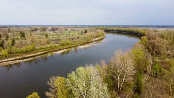 Antenne Vlieg Rustige Rivier Velden Landschap — Stockvideo