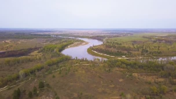           4K Aerial. Rivière et champs. Paysage. pousse nature 