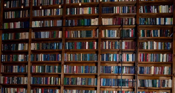 Librerie Biblioteca Grande Libreria Con Tanti Libri Divano Nella Stanza — Foto Stock