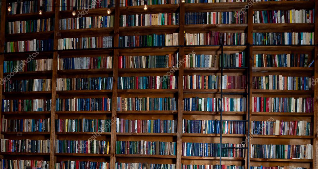 Librerie Biblioteca Grande Libreria Con Tanti Libri Divano Nella Stanza -  Foto Stock: Foto, Immagini © Real_life 364590472