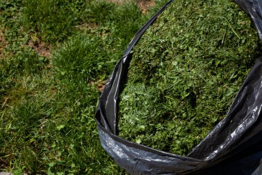 Çimlerin üzerinde biçilmiş siyah çimen torbası. Çim biçme makinesinden çıkan ot, hayvan yemi. Çimleri biç. Çim biçme.