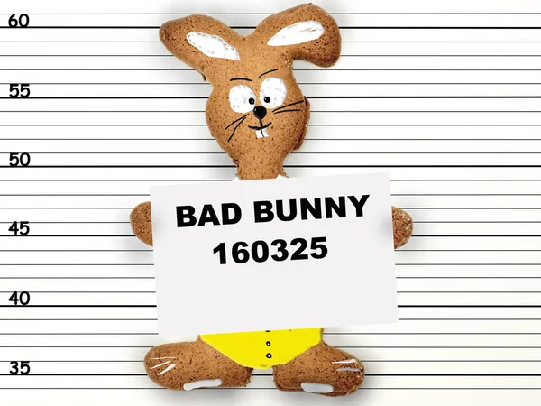 MugShot kötü Bunny — Stok fotoğraf