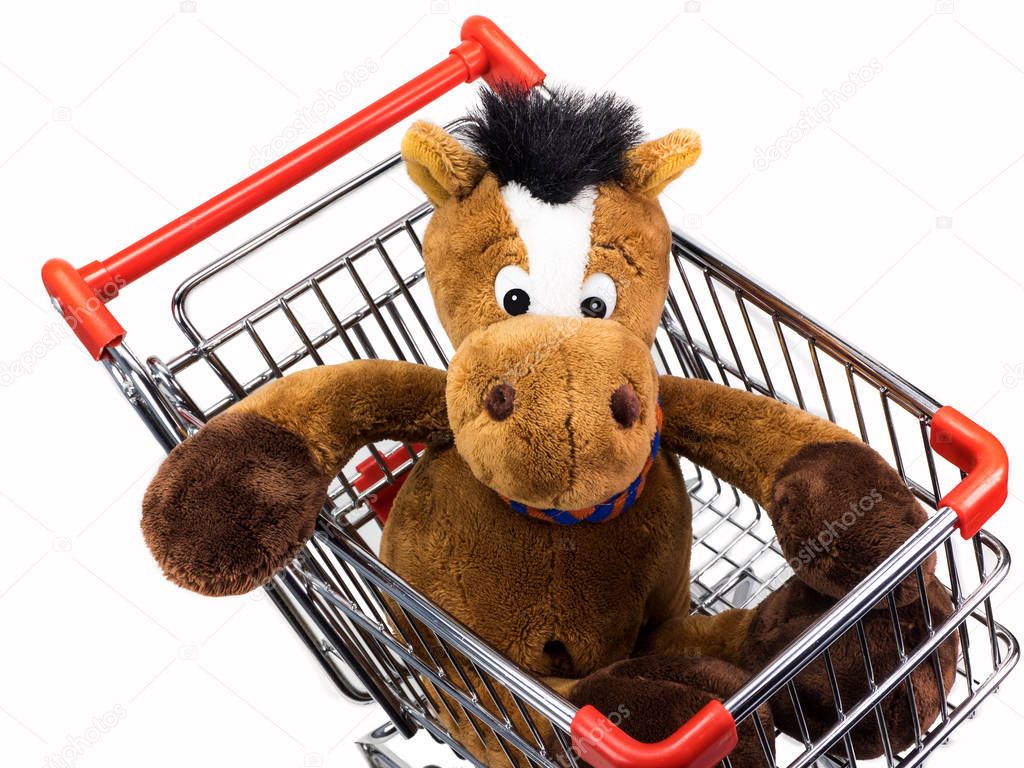 Horse is sitting in a shopping car 
