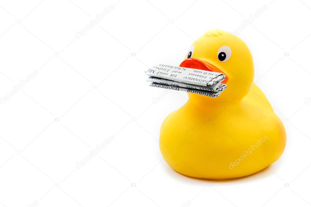 A duck reports an error message
