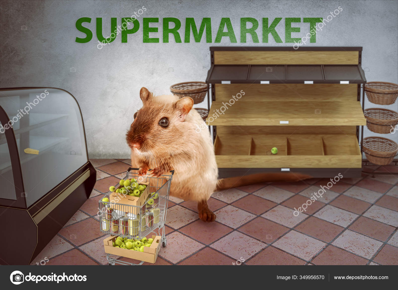 hamster supermarket