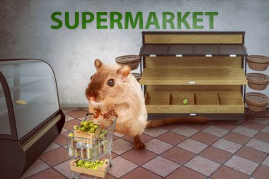 Panik içinde hamster satın almak süpermarket boş - 3D-Illustration