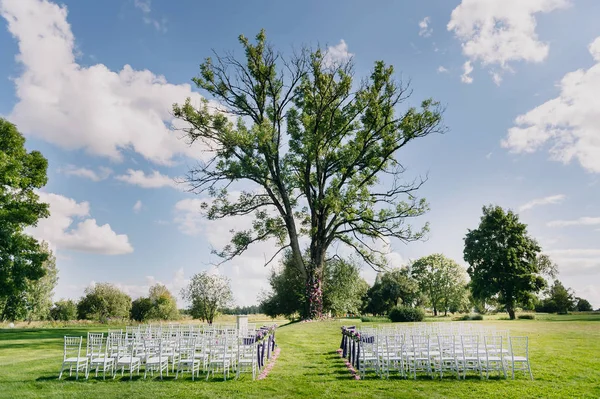 婚礼仪式的地方。树、 椅子和草。蓝天空 — 图库照片