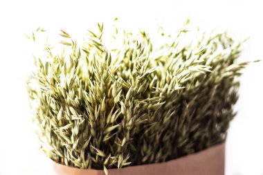 buğday spikelet dekorasyon için 