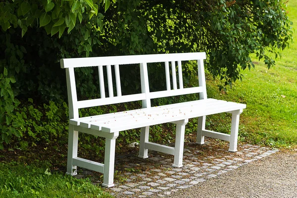 İzole tezgah parkta. Düşünme için sakin yer