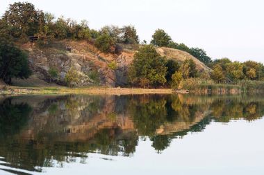 Güzel riverfront sahne sakin su ve orman parçası 
