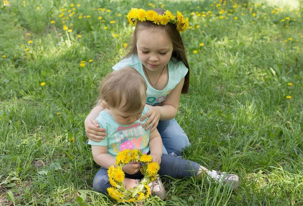 Two Little Sisters Dandelion Wreath Dandelion Lawn — Stock Photo, Image