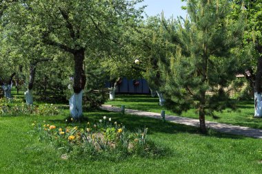 Benim güzel güneşli Bahçe