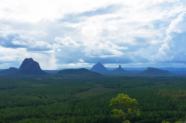 Cam ev Dağları Milli Parkı peyzaj, Queensland, Avustralya