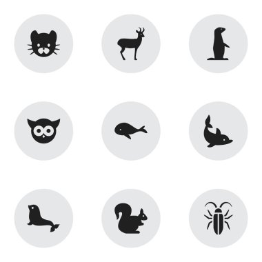 9 düzenlenebilir Hayvanat Bahçesi simgeler kümesi. Gece Fowl, deniz buzağı, Ren geyiği ve daha fazlası gibi simgeler içerir. Web, mobil, UI ve Infographic tasarımı için kullanılabilir.