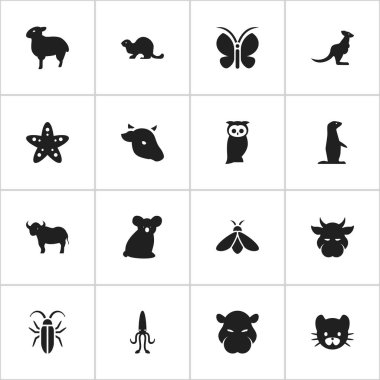 16 düzenlenebilir zooloji simgeler kümesi. Su aygırı, öküz, köstebek ve daha fazlası gibi simgeler içerir. Web, mobil, UI ve Infographic tasarımı için kullanılabilir.