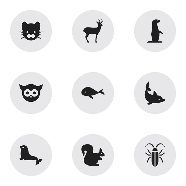 Set de 9 iconos editables del zoológico. Incluye símbolos como aves nocturnas, becerro de mar, renos y más. Puede ser utilizado para el diseño de la tela, móvil, interfaz de usuario e infografía . — Archivo Imágenes Vectoriales