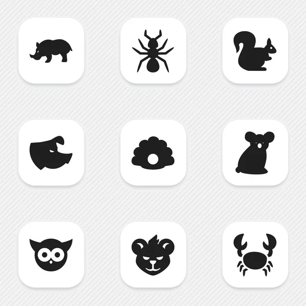 Set de 9 iconos animales editables. Incluye símbolos como el ave nocturna, el tigre, el roedor salvaje y más. Puede ser utilizado para el diseño de la tela, móvil, interfaz de usuario e infografía . — Archivo Imágenes Vectoriales