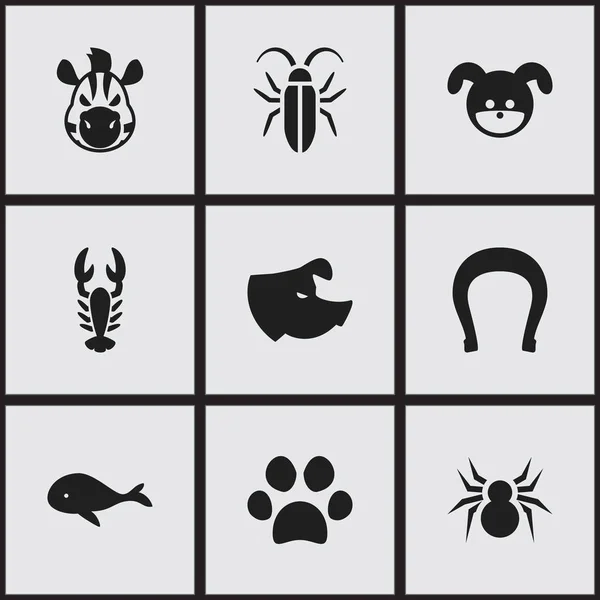 Set Of 9 Editable Zoology Icons. Includes Symbols Such As Arachind, Puppy, Bug And More. Can Be Used For Web, Mobile, UI And Infographic Design. — Stock Vector