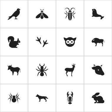 16 düzenlenebilir Hayvanat Bahçesi simgeler kümesi. Boğa, Bizon, bal ve daha fazla gibi simgeler içerir. Web, mobil, UI ve Infographic tasarımı için kullanılabilir.