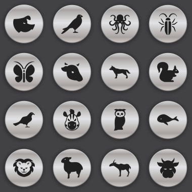 16 düzenlenebilir doğa simgeler kümesi. Vahşi kemirgen, kuzu, baykuş ve daha fazlası gibi simgeler içerir. Web, mobil, UI ve Infographic tasarımı için kullanılabilir.