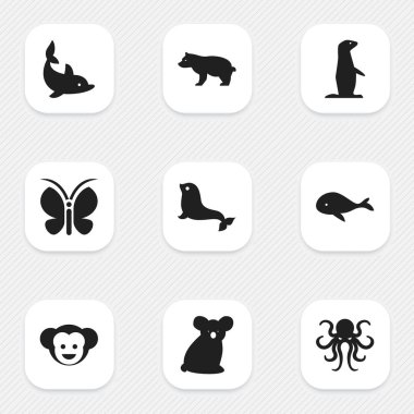 9 düzenlenebilir zooloji simgeler kümesi. Oynak balık, kutup hayvan, maymun ve daha fazlası gibi simgeler içerir. Web, mobil, UI ve Infographic tasarımı için kullanılabilir.