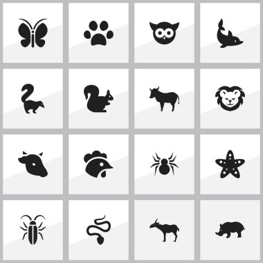 16 düzenlenebilir zooloji simgeler kümesi. Yılan, inek, böcek ve daha fazlası gibi simgeler içerir. Web, mobil, UI ve Infographic tasarımı için kullanılabilir.