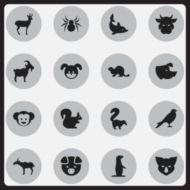16 düzenlenebilir hayvan simgeler kümesi. Yaban hayatı Castor, Ren geyiği, vahşi kemirgen ve daha fazlası gibi simgeler içerir. Web, mobil, UI ve Infographic tasarımı için kullanılabilir.