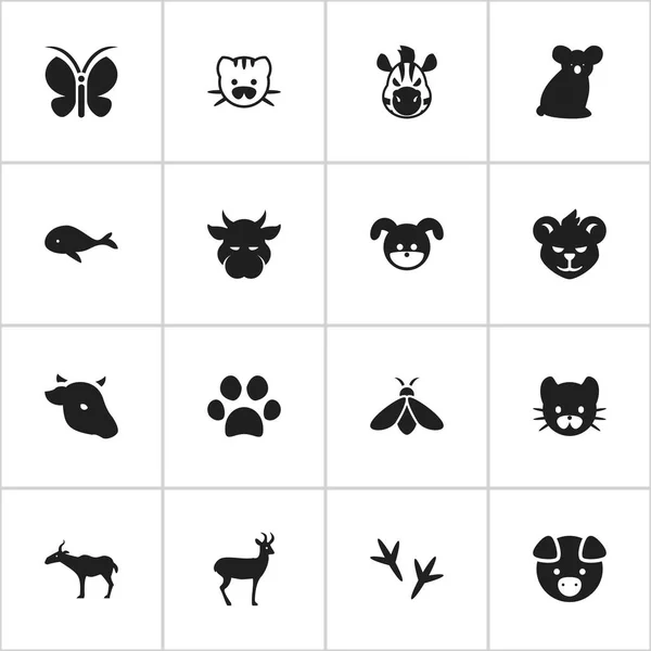 Set med 16 redigerbara Zoo ikoner. Innehåller symboler som kattdjur, Moth, valp och mer. Kan användas för webb-, mobil-, Ui- och Infographic Design. — Stock vektor