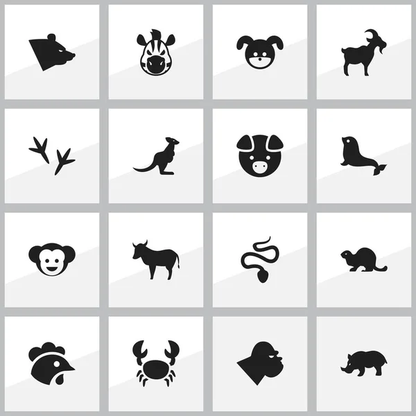 Satz von 16 editierbaren Natur-Symbolen. enthält Symbole wie Meereskalb, Hahn, Schlange und mehr. kann für Web-, Mobil-, UI- und Infografik-Design verwendet werden. — Stockvektor