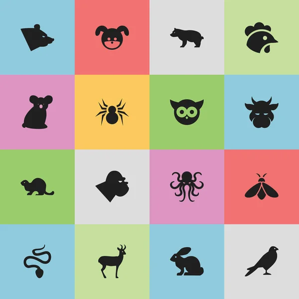 Set di 16 icone zoologiche modificabili. Include simboli come Arachind, Coniglio, Miele e altro ancora. Può essere utilizzato per la progettazione web, mobile, UI e infografica . — Vettoriale Stock