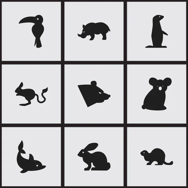 Set Of 9 Editable Animal Icons. Includes Symbols Such As Wildlife Castor, Australian Bear, Bunny And More. Can Be Used For Web, Mobile, UI And Infographic Design. — Stock Vector