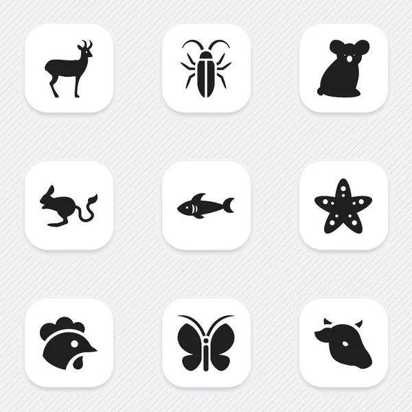 Set de 9 iconos editables de Zoología. Incluye símbolos como gallo, tiburón, jerboa y más. Puede ser utilizado para el diseño de la tela, móvil, interfaz de usuario e infografía . — Archivo Imágenes Vectoriales