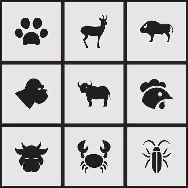 Set de 9 iconos editables de Zoología. Incluye símbolos tales como chimpancé, gallo, insecto y más. Puede ser utilizado para el diseño de la tela, móvil, interfaz de usuario e infografía . — Vector de stock