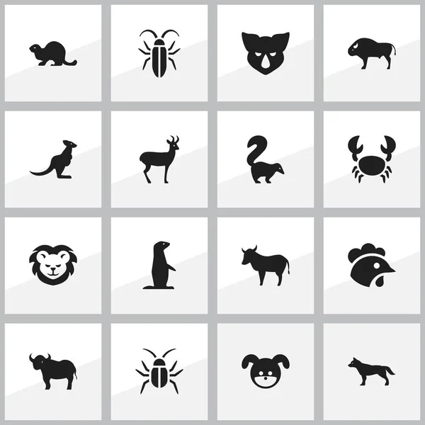 Conjunto de 16 ícones editáveis do zoológico. Inclui símbolos como Wallaby, filhote de cachorro, Groundhog e muito mais. Pode ser usado para Web, Mobile, UI e design infográfico . — Vetor de Stock