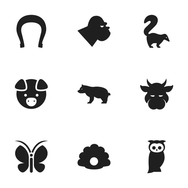 Conjunto de 9 Ícones de natureza editável. Inclui símbolos como traça, Kine, animal polar e muito mais. Pode ser usado para Web, Mobile, UI e design infográfico . — Vetor de Stock