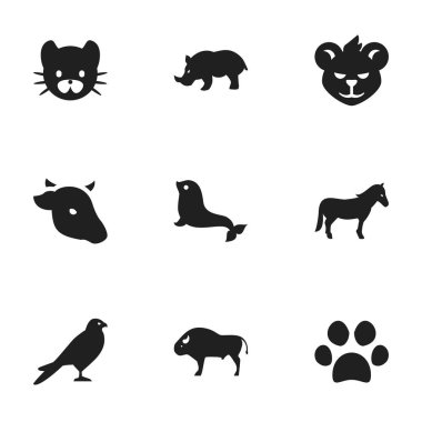 9 düzenlenebilir hayvan simgeler kümesi. Aygır, boğa, kedi ve daha fazlası gibi simgeler içerir. Web, mobil, UI ve Infographic tasarımı için kullanılabilir.